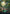 Forest (490) (Planetary Space-ic Land) (Galaxy Foil) [Unfinity] - Magic: The Gathering - Card Brawlers | Quebec | Canada |