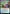 Dancing Sword [Dungeons & Dragons: Adventures in the Forgotten Realms Prerelease Promos] - Magic: The Gathering - Card Brawlers | Quebec | Canada |