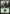 Forest (304) [Ravnica: City of Guilds] - Magic: The Gathering - Card Brawlers | Quebec | Canada |