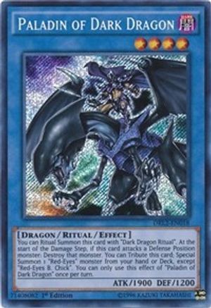 Paladin of Dark Dragon [DRL2-EN018] Secret Rare - Yu-Gi-Oh! - Card Brawlers | Quebec | Canada |