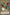 Left Arm of the Forbidden One [YGLD-ENA21] Ultra Rare - Yu-Gi-Oh! - Card Brawlers | Quebec | Canada |