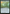 Green Sun's Twilight [Phyrexia: All Will Be One] - Magic: The Gathering - Card Brawlers | Quebec | Canada |