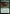 Grist, Voracious Larva // Grist, the Plague Swarm [Modern Horizons 3] - Magic: The Gathering - Card Brawlers | Quebec | Canada |