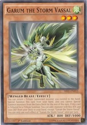 Garum the Storm Vassal [SR01-EN015] Common - Yu-Gi-Oh! - Card Brawlers | Quebec | Canada |
