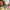 LEGO® - Botanicals - Rocking Plants Flower - Building Kit - 11506
