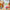 LEGO - Botanicals - Water Lilies - Building Kit - 11511