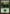 Forest (300) [Time Spiral] - Magic: The Gathering - Card Brawlers | Quebec | Canada |