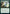 Exponential Growth [Strixhaven: School of Mages] - Magic: The Gathering - Card Brawlers | Quebec | Canada |
