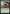 Vines of the Recluse [Duel Decks: Nissa vs. Ob Nixilis] - Magic: The Gathering - Card Brawlers | Quebec | Canada |