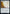 Excavated Wall [Strixhaven: School of Mages] - Magic: The Gathering - Card Brawlers | Quebec | Canada |
