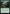 Natural Reclamation [Commander Legends: Battle for Baldur's Gate] - Magic: The Gathering - Card Brawlers | Quebec | Canada |