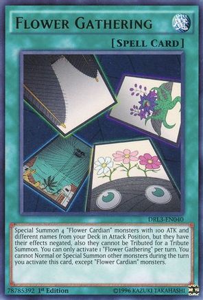 Flower Gathering [DRL3-EN040] Ultra Rare - Yu-Gi-Oh! - Card Brawlers | Quebec | Canada |