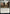 Veteran Soldier [Commander Legends: Battle for Baldur's Gate] - Magic: The Gathering - Card Brawlers | Quebec | Canada |
