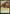 Preston Garvey, Minuteman [Fallout] - Magic: The Gathering - Card Brawlers | Quebec | Canada |
