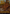Shoot the Sheriff [Secret Lair Showdown] - Magic: The Gathering - Card Brawlers | Quebec | Canada |