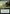 Three Visits (Extended Art) [Commander Legends] - Magic: The Gathering - Card Brawlers | Quebec | Canada |