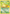 Chikorita (54/111) (Jumbo Card) [First Partner Pack] - Pokémon - Card Brawlers | Quebec | Canada |