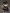 Good Smile - Nendoroid - Berserk - Guts (PREORDER) March 15, 2027