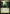 Thaumatic Compass // Spires of Orazca [Ixalan Prerelease Promos] - Magic: The Gathering - Card Brawlers | Quebec | Canada |