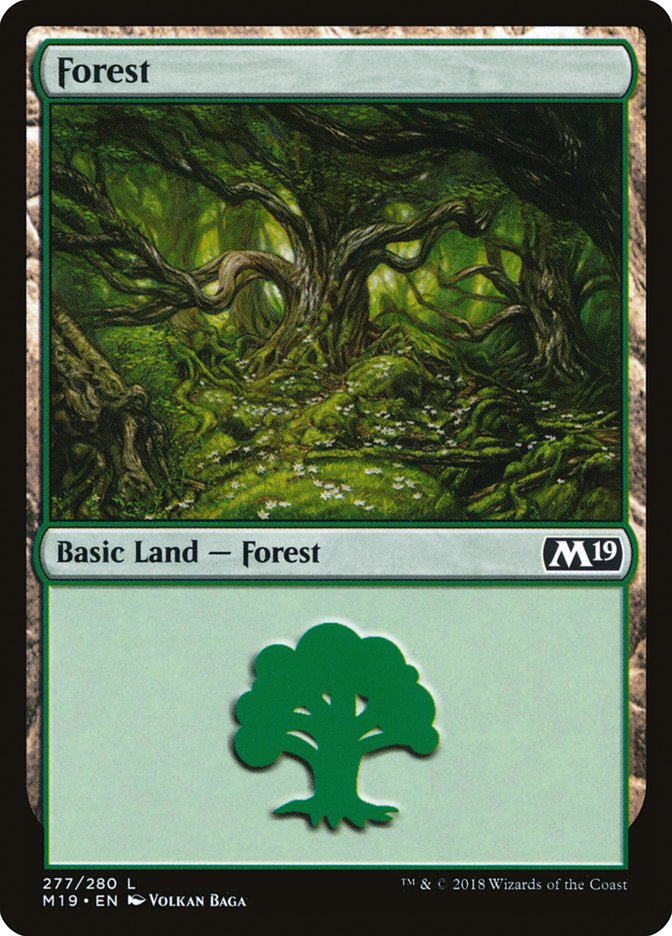 Forest (277) [Core Set 2019] - Magic: The Gathering - Card Brawlers | Quebec | Canada |
