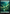 Forest (0276) [Tarkir: Dragonstorm] - Magic: The Gathering - Card Brawlers | Quebec | Canada |