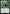 Gigantosaurus (Promo Pack) [Core Set 2019 Promos] - Magic: The Gathering - Card Brawlers | Quebec | Canada |