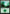 Forest (319) [Commander Anthology] - Magic: The Gathering - Card Brawlers | Quebec | Canada |