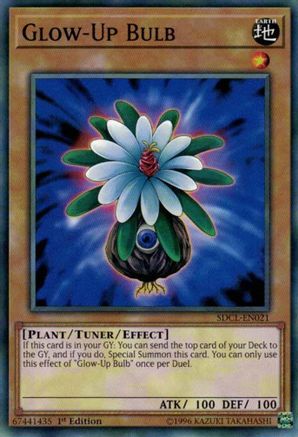 Glow-Up Bulb [SDCL-EN021] Common - Yu-Gi-Oh! - Card Brawlers | Quebec | Canada |