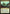 Unclaimed Territory (League) [Ixalan Promos] - Magic: The Gathering - Card Brawlers | Quebec | Canada |