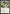 Austere Command (Retro) [The Brothers' War Commander] - Magic: The Gathering - Card Brawlers | Quebec | Canada |