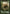 Saproling Token [Magic 2014 Tokens] - Magic: The Gathering - Card Brawlers | Quebec | Canada |