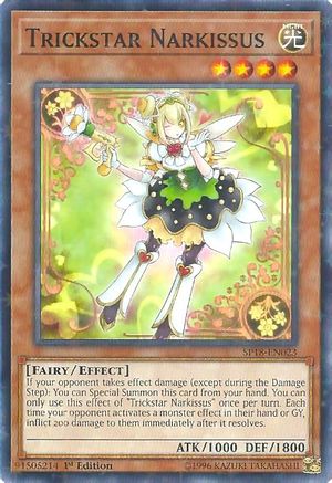 Trickstar Narkissus [SP18-EN023] Starfoil Rare - Yu-Gi-Oh! - Card Brawlers | Quebec | Canada |
