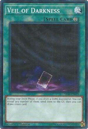 Veil of Darkness [SR06-EN029] Common - Yu-Gi-Oh! - Card Brawlers | Quebec | Canada |