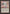 Living Wall [Beta Edition] - Magic: The Gathering - Card Brawlers | Quebec | Canada |