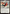 Spider-Man, Peter Parker [Marvel's Spider-Man: Eternal-Legal] - Magic: The Gathering - Card Brawlers | Quebec | Canada |
