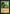 Elvish Mystic (Timeshifted) [Time Spiral Remastered] - Magic: The Gathering - Card Brawlers | Quebec | Canada |