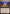 Thespian's Stage [The List] - Magic: The Gathering - Card Brawlers | Quebec | Canada |