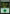 Forest (32) [Duel Decks: Elves vs. Inventors] - Magic: The Gathering - Card Brawlers | Quebec | Canada |