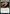 Monk of the Open Hand [Dungeons & Dragons: Adventures in the Forgotten Realms] - Magic: The Gathering - Card Brawlers | Quebec | Canada |