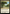 Exotic Orchard (CMM) [The List] - Magic: The Gathering - Card Brawlers | Quebec | Canada |