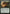 Trail of Mystery [Khans of Tarkir Prerelease Promos] - Magic: The Gathering - Card Brawlers | Quebec | Canada |