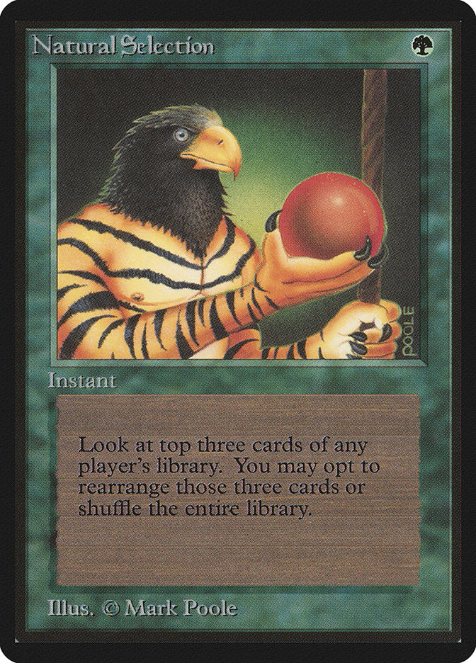 Natural Selection [Beta Edition] - Magic: The Gathering - Card Brawlers | Quebec | Canada |