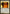 Swords to Plowshares [Judge Gift Cards 2013] - Magic: The Gathering - Card Brawlers | Quebec | Canada |