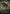 Overgrown Tomb (Borderless) (Galaxy Foil) [Unfinity] - Magic: The Gathering - Card Brawlers | Quebec | Canada |