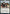 Mavinda, Students' Advocate (Promo Pack) [Strixhaven: School of Mages Promos] - Magic: The Gathering - Card Brawlers | Quebec | Canada |