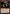 Geier Reach Bandit // Vildin-Pack Alpha [Shadows over Innistrad Prerelease Promos] - Magic: The Gathering - Card Brawlers | Quebec | Canada |