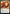 Rakdos Charm [Dungeons & Dragons: Adventures in the Forgotten Realms Commander] - Magic: The Gathering - Card Brawlers | Quebec | Canada |