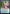 Sphere of Annihilation [Dungeons & Dragons: Adventures in the Forgotten Realms Prerelease Promos] - Magic: The Gathering - Card Brawlers | Quebec | Canada |