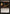 Undying Evil [Dark Ascension] - Magic: The Gathering - Card Brawlers | Quebec | Canada |