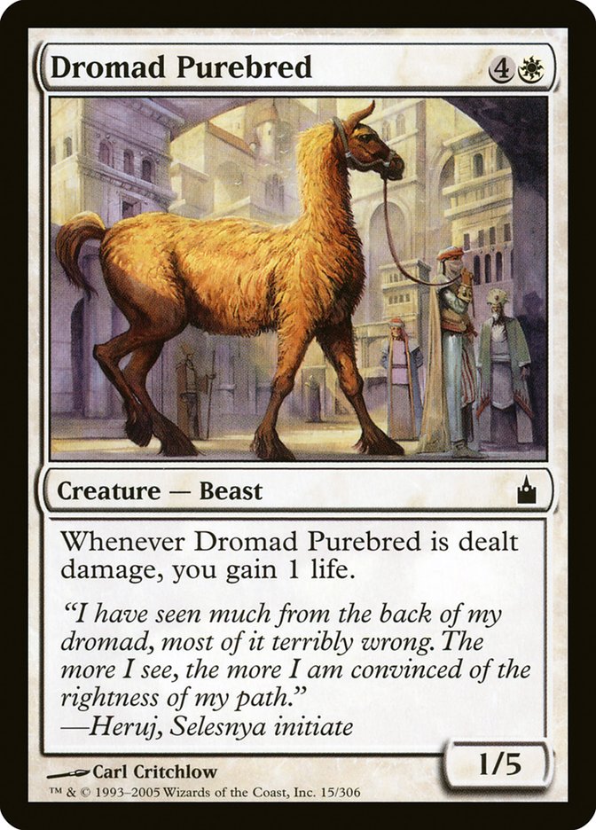 Dromad Purebred [Ravnica: City of Guilds] - Magic: The Gathering - Card Brawlers | Quebec | Canada |